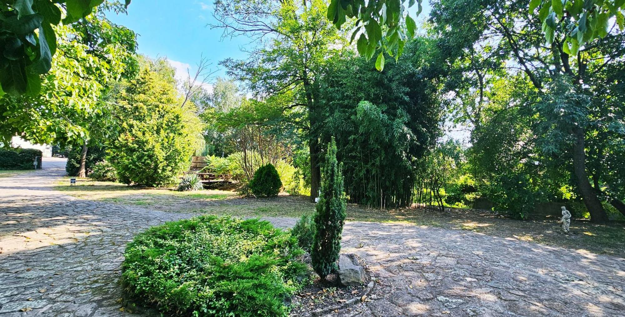 Levendula Resort Es Rendezvenykoezpont Bogács Extérieur photo
